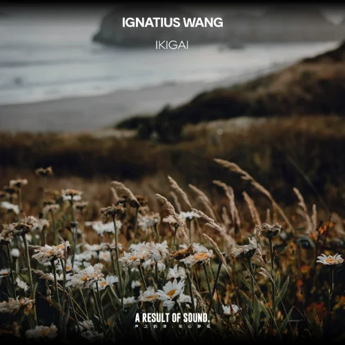 09-Ignatius Wang - Ikigai (Extended Mix) [AROS Music].webp