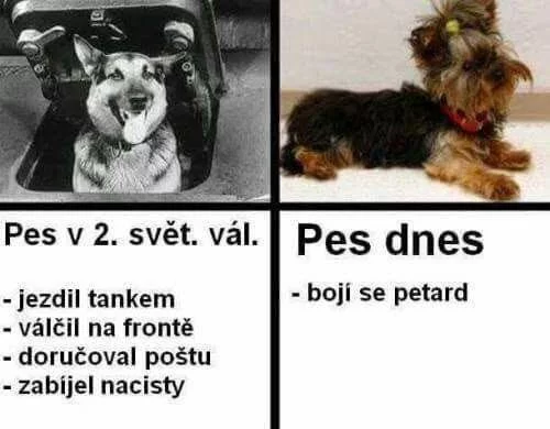 1000006755-webp.7679