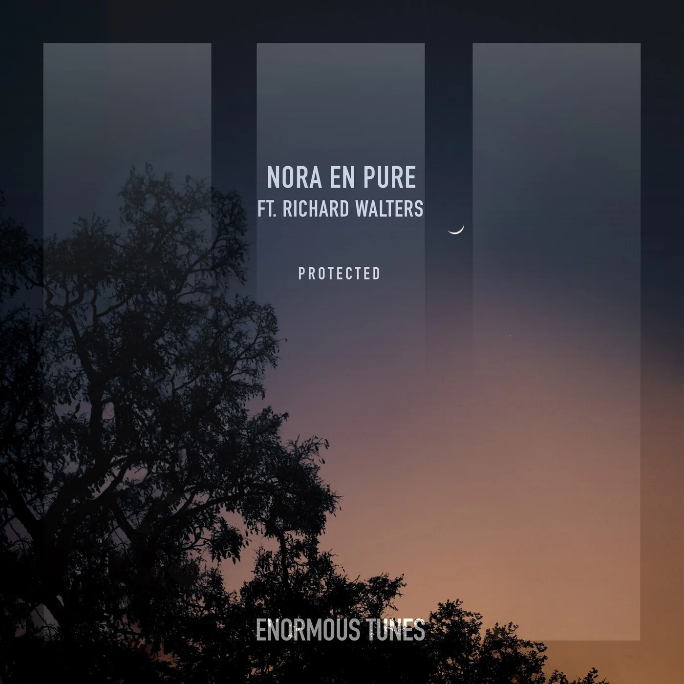 11 Nora En Pure feat. Richard Walters - Protected.webp