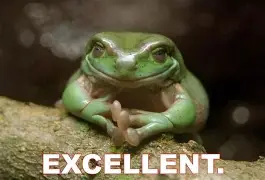 Image result for wxcellent froggif