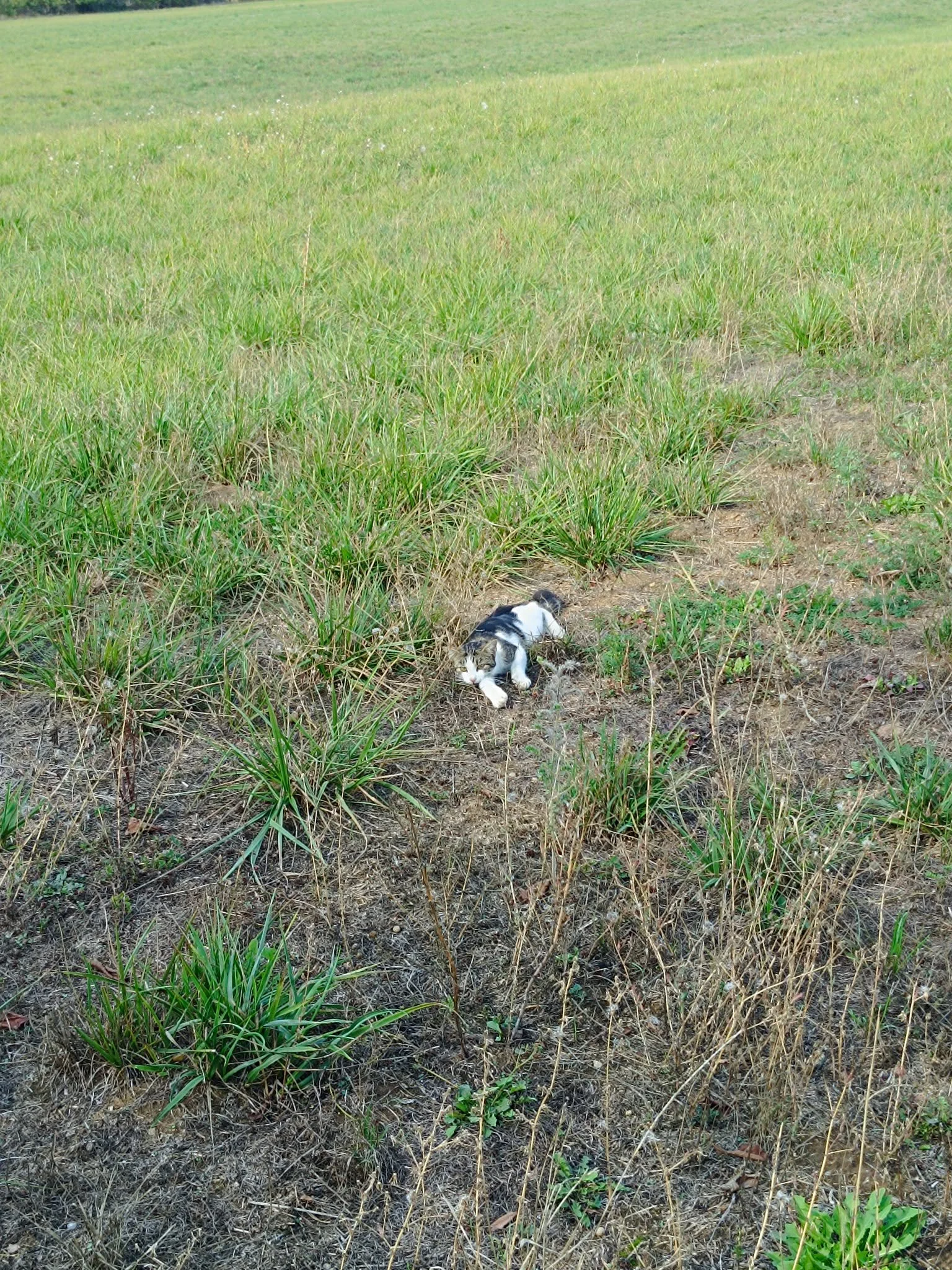 1789569700480.webp