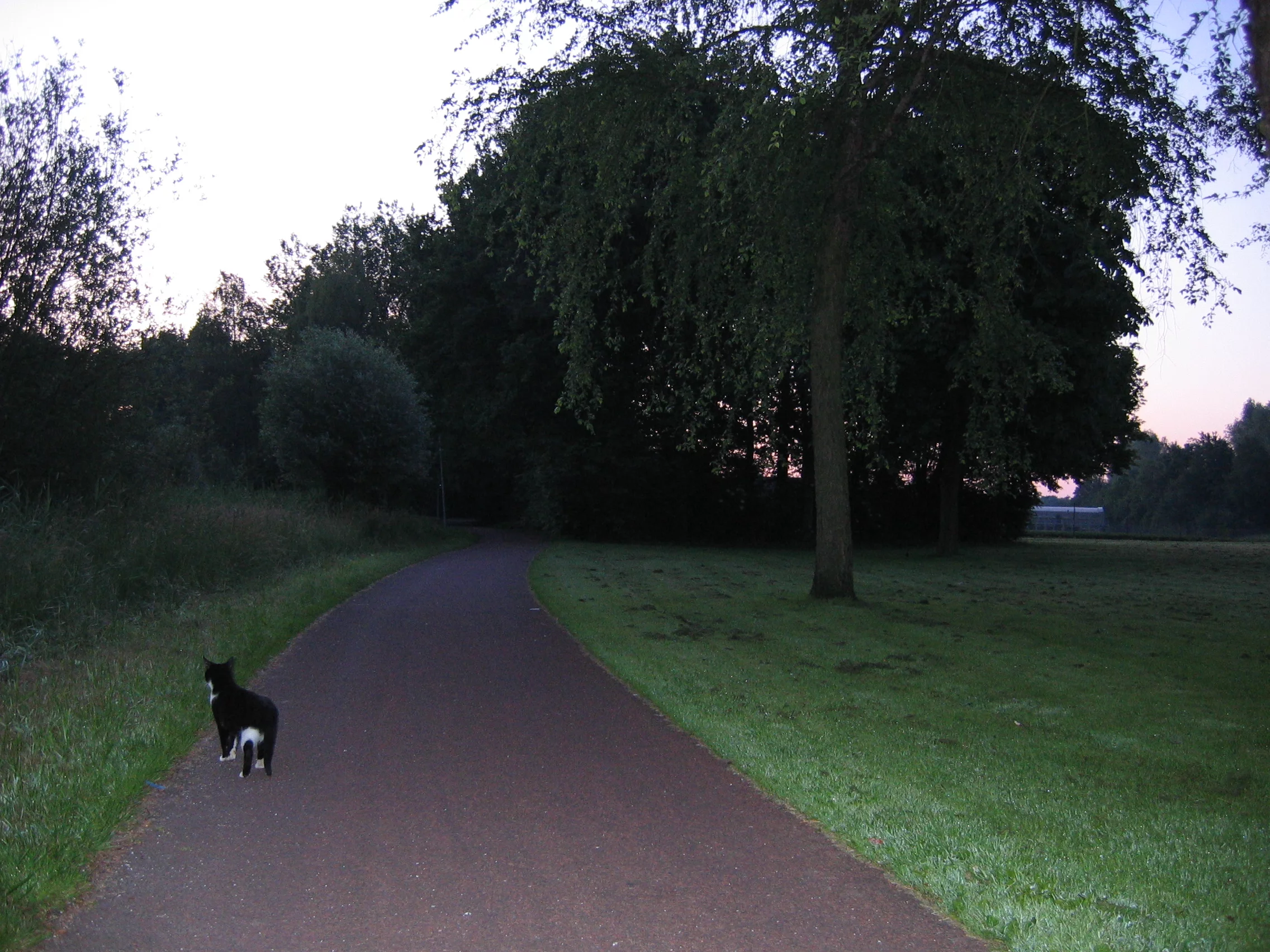 2005-06-15_Moosh 026.webp