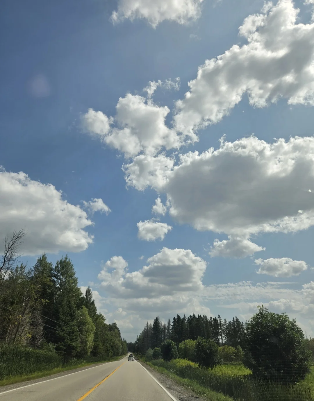 64715.webp