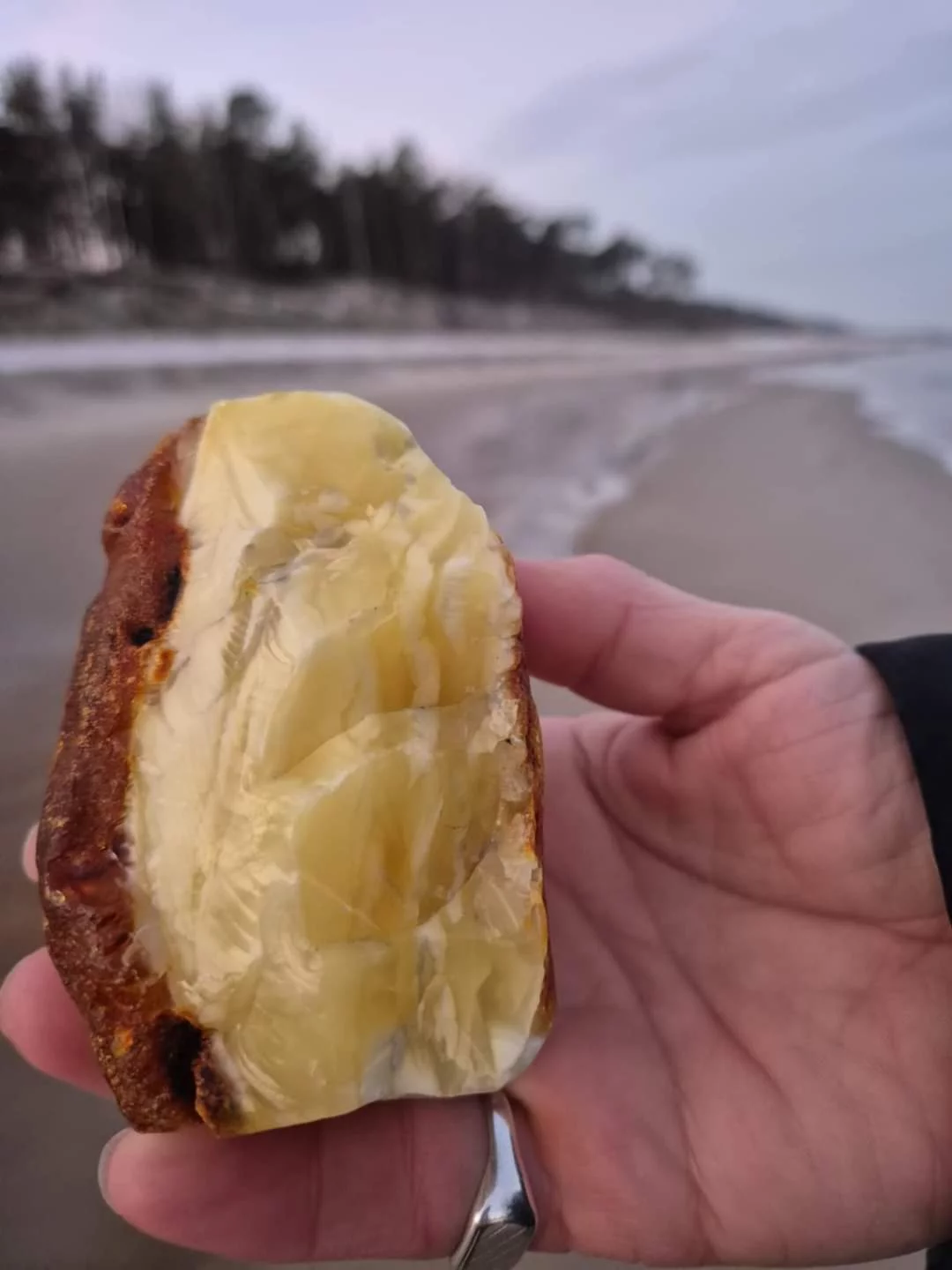 bursztyn Ustka 2024.webp