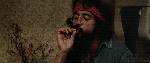 el roacho.gif