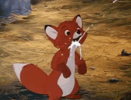 fox funny.gif