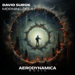 6. David Surok - Morning Delay (Extended Mix) [Aerodynamica Music].jpg