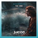 8. David McQuiston - The One (Extended Mix) [Juiced Digital Recordings].jpg