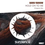 11. David Yarrow - Hold On To Me (Original Mix) [Sundance Recordings].webp