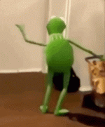 IMG_1008.gif