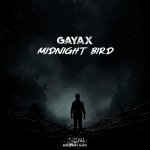 5. Gayax - Midnight Bird (Original Mix) [Endlessky Audio].jpg