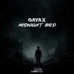 5. Gayax - Midnight Bird (Original Mix) [Endlessky Audio].webp