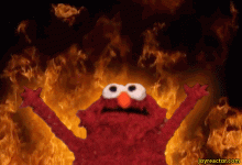 giphy (6).gif