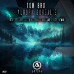 04- Tom Bro - Aurora Borealis (Progressive Mi.webp