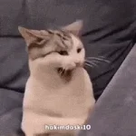 1791146186890.webp
