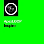 15.webp
