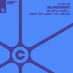 14. Probspot - Blueberry (Markus Schulz Down The Rabbit Hole Remix).webp