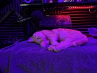 IMG_0718-compressed.webp