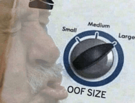 inbound6007221304291340251.gif
