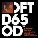01- Hannah Wats - Cure my Desire (Gregor Larsen Remix).webp 01- Hannah Wats - Cure my Desire (Gregor Larsen Remix).webp