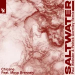 16_Chicane, Moya Brennan - Saltwater (Paul Webster & Patrick Gormley Remix).webp