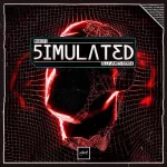 17_Marco V - Simulated (Olly James Remix.webp