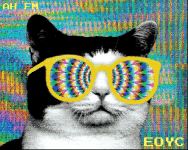 gif (12).gif