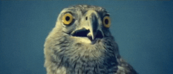 No Way Reaction GIF.gif
