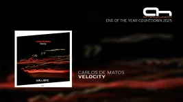 Carlos de Matos - Velocity.webp