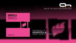 Gouryella - Gouryella (Andy Newtz Bootleg).webp