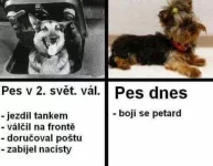 1000006755.webp