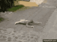 beer crawl.gif