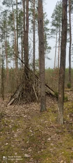 IMG_20260331_111436.webp