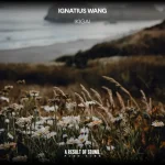 09-Ignatius Wang - Ikigai (Extended Mix) [AROS Music].webp