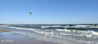 IMG_20260420_085511.webp