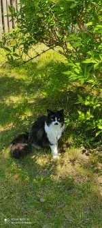 IMG_20260519_130101.webp