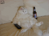 couch kitty.gif