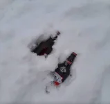 beers snow.webp