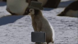 werk, werk.gif