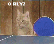match time.gif