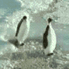 nope.gif