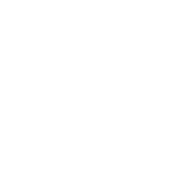 mercurialvirus